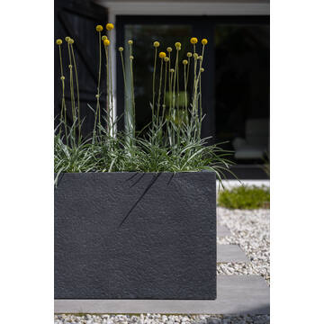 Jort L, Midnight Black