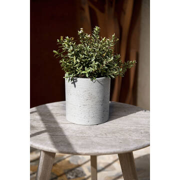 Puk L, Grey Washed