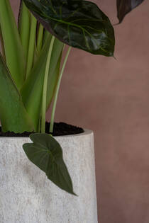 Nax L, Travertine Beige
