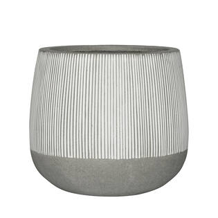 Pax M, White stripe