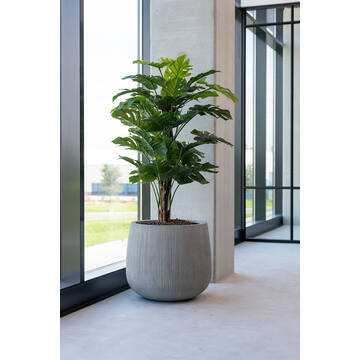 Pax L, Dark Grey (vert. ridg.)