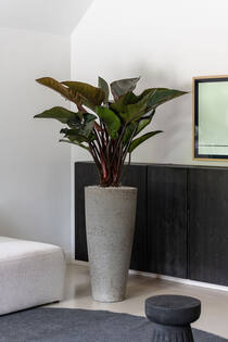 Dax XL, Diorite Grey