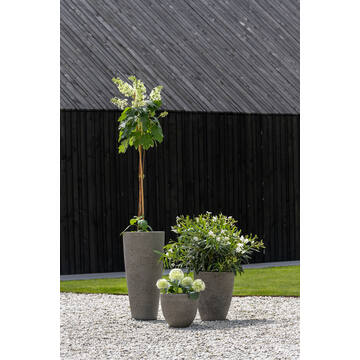Dax L, Diorite Grey