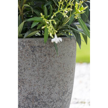 Ben L, Diorite Grey