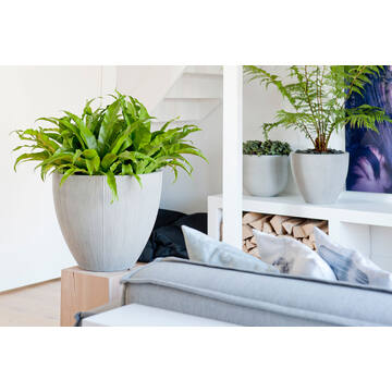 Jesslyn S, Light Grey (vert. ridg.)