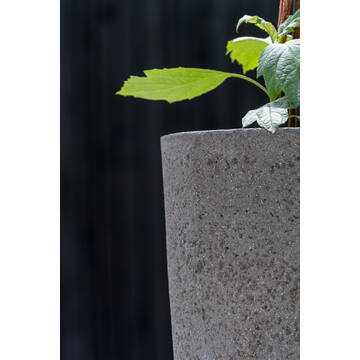 Jesslyn S, Diorite Grey