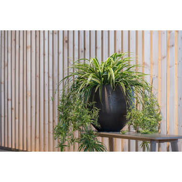 Mini Orb XL, Black Washed