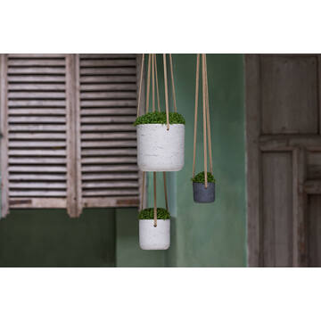 Charlie M (hanging) Grey Washed