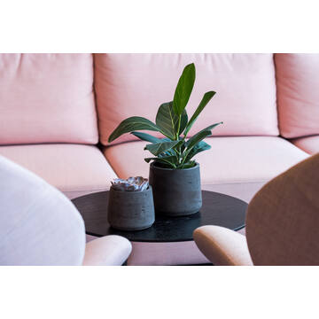 Patt XXL, Black Washed
