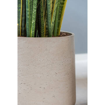 Patt XXL, Grey Washed