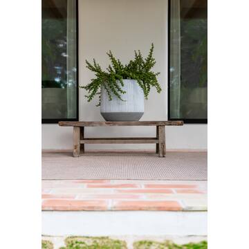Harith M, White stripe