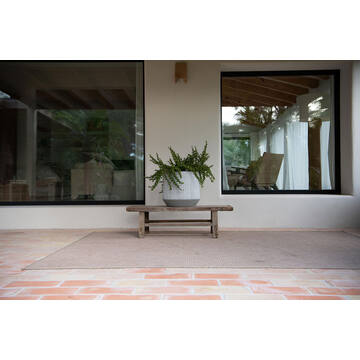 Harith M, White stripe