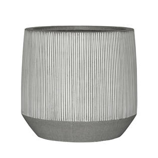Harith L, White stripe