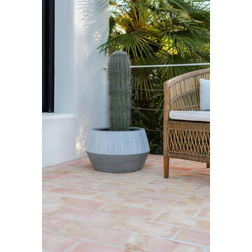 Harley Low L, White stripe