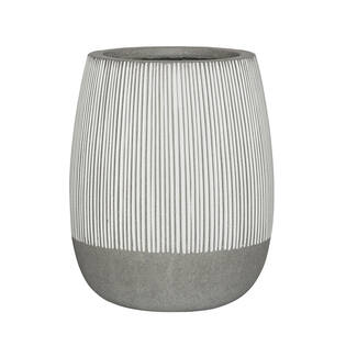 Perry S, White stripe