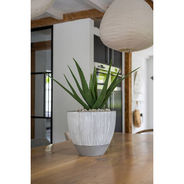 Jesslyn XS, White stripe