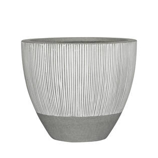 Jesslyn S, White stripe