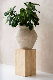 Fleuri L, Travertine Beige