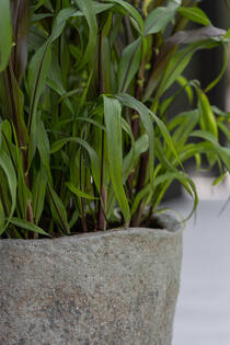Mt. Russell XL, Diorite Grey