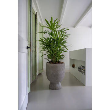 Jola High L, Diorite Grey