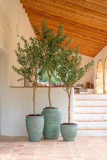 Hera L, Rustic Green
