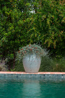 Apollo L, Rustic Green