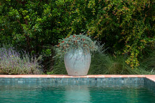 Apollo L, Rustic Green