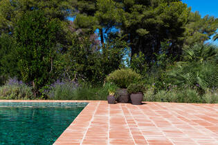 Poseidon S, Umber Brown