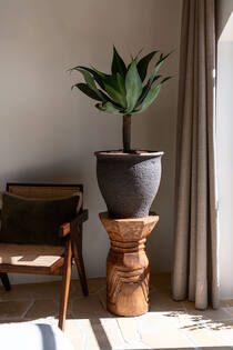 Poseidon M, Umber Brown