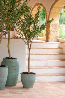Poseidon L, Rustic Green