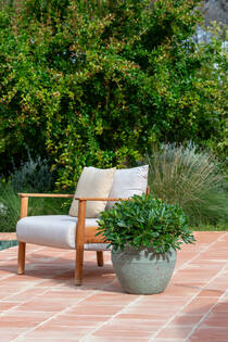Athena M, Rustic Green
