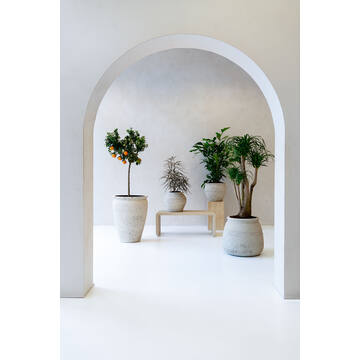 Athena M, Chalk White