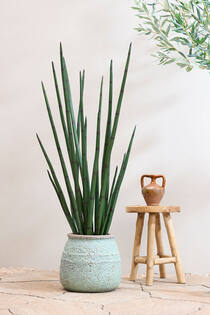 Hestia S, Rustic Green