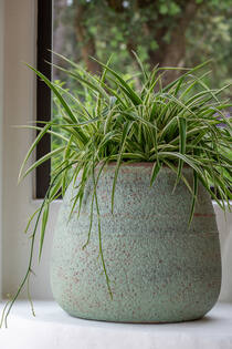 Hestia L, Rustic Green