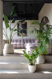 Hestia L, Chalk White