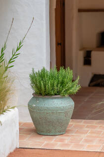 Eros L, Rustic Green