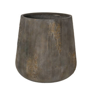 Pax XL, Imperial Brown