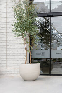 Jumbo Orb S, Ivory Washed