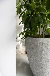 Bernd S, Imperial White