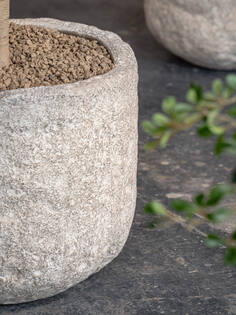 Mesa L, Fossil Sand