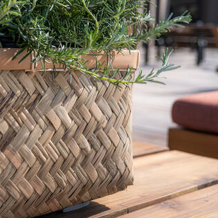 Nouri S, Bamboo