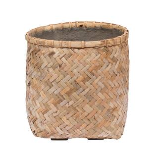 Zayn XXS, Bamboo