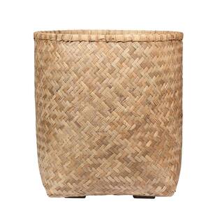 Zayn L, Bamboo