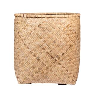 Zayn XL, Bamboo