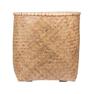 Zayn XXL, Bamboo