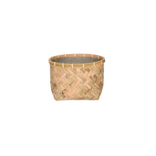 (S) Nala S, Bamboo