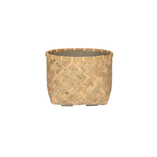 (S) Nala M, Bamboo
