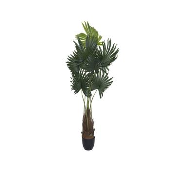 Palm tree M, Green
