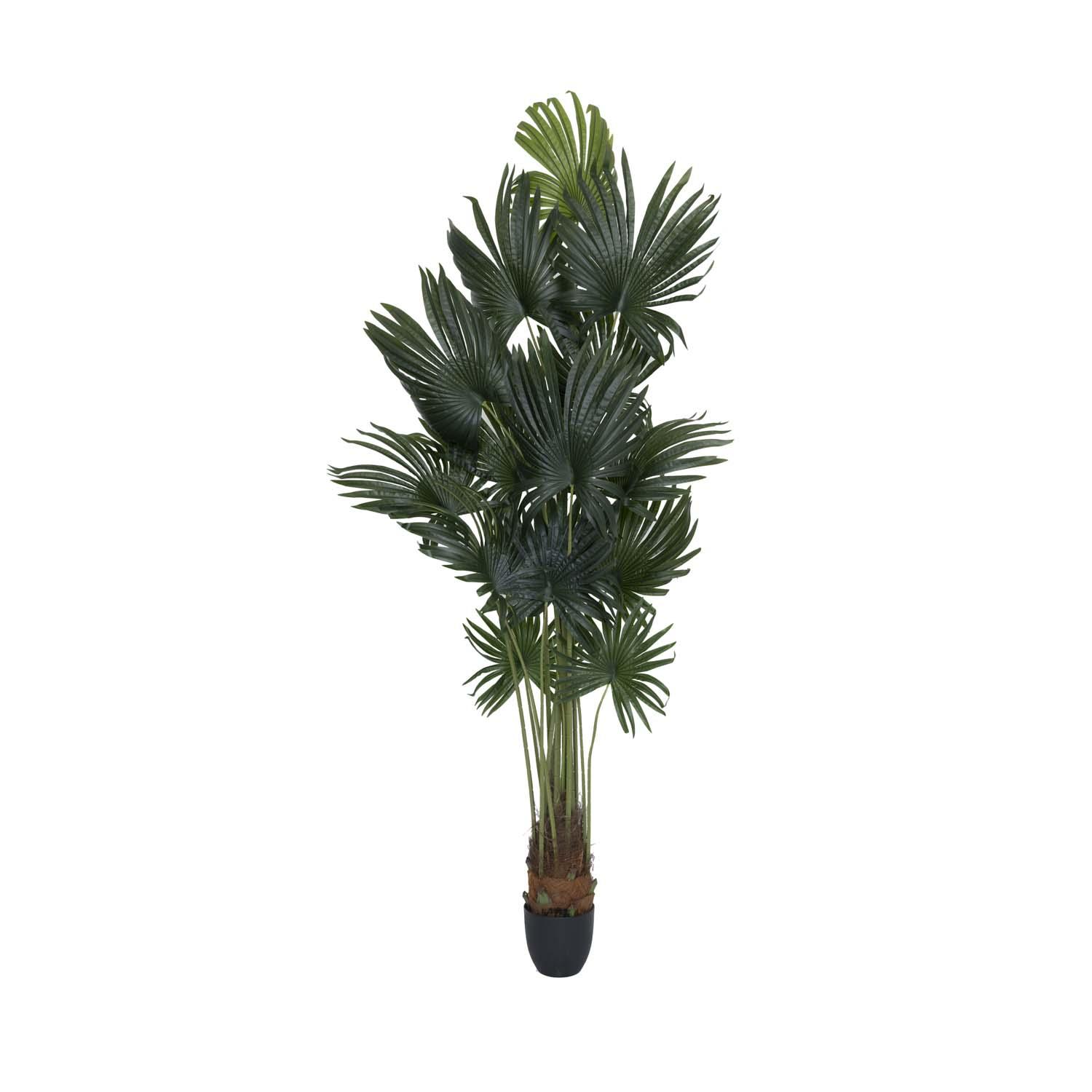 Palm tree XL, Green