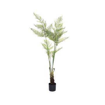 Fern L, Green